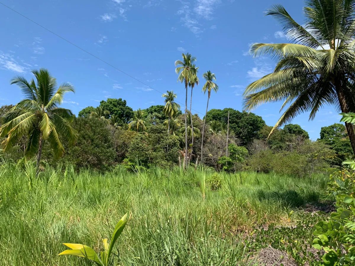 For Sale: Property at Hicaco Beach Right on the Beach.