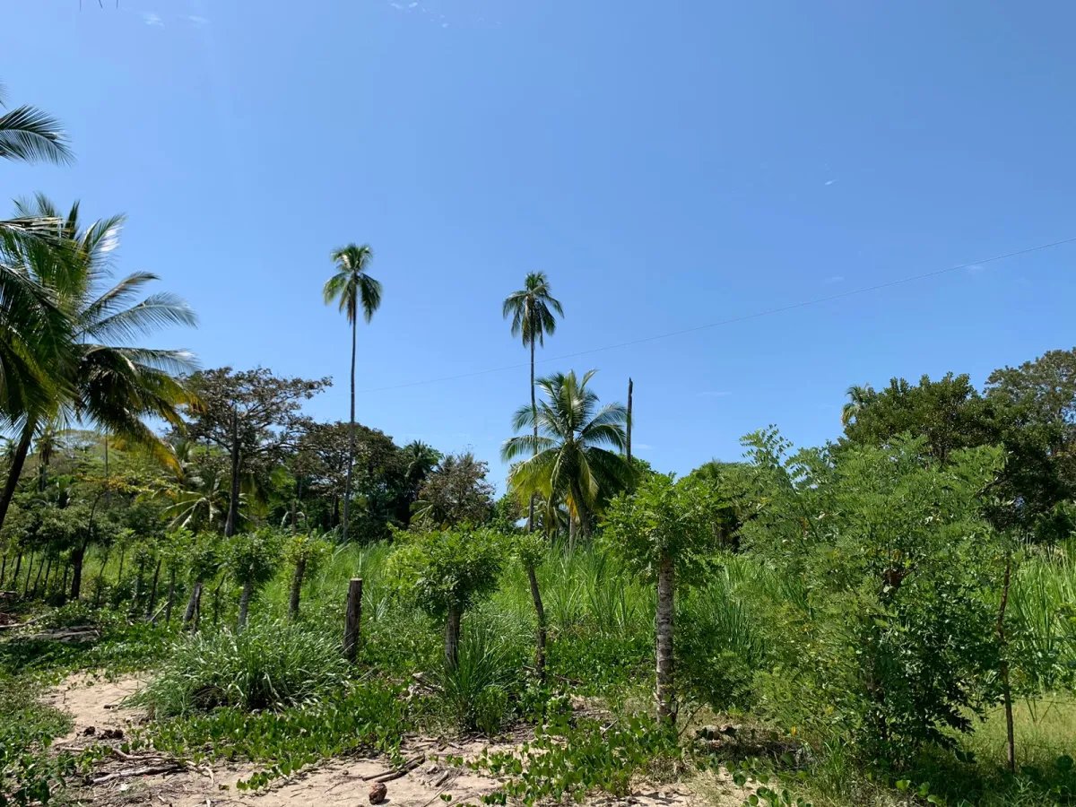 For Sale: Property at Hicaco Beach Right on the Beach.