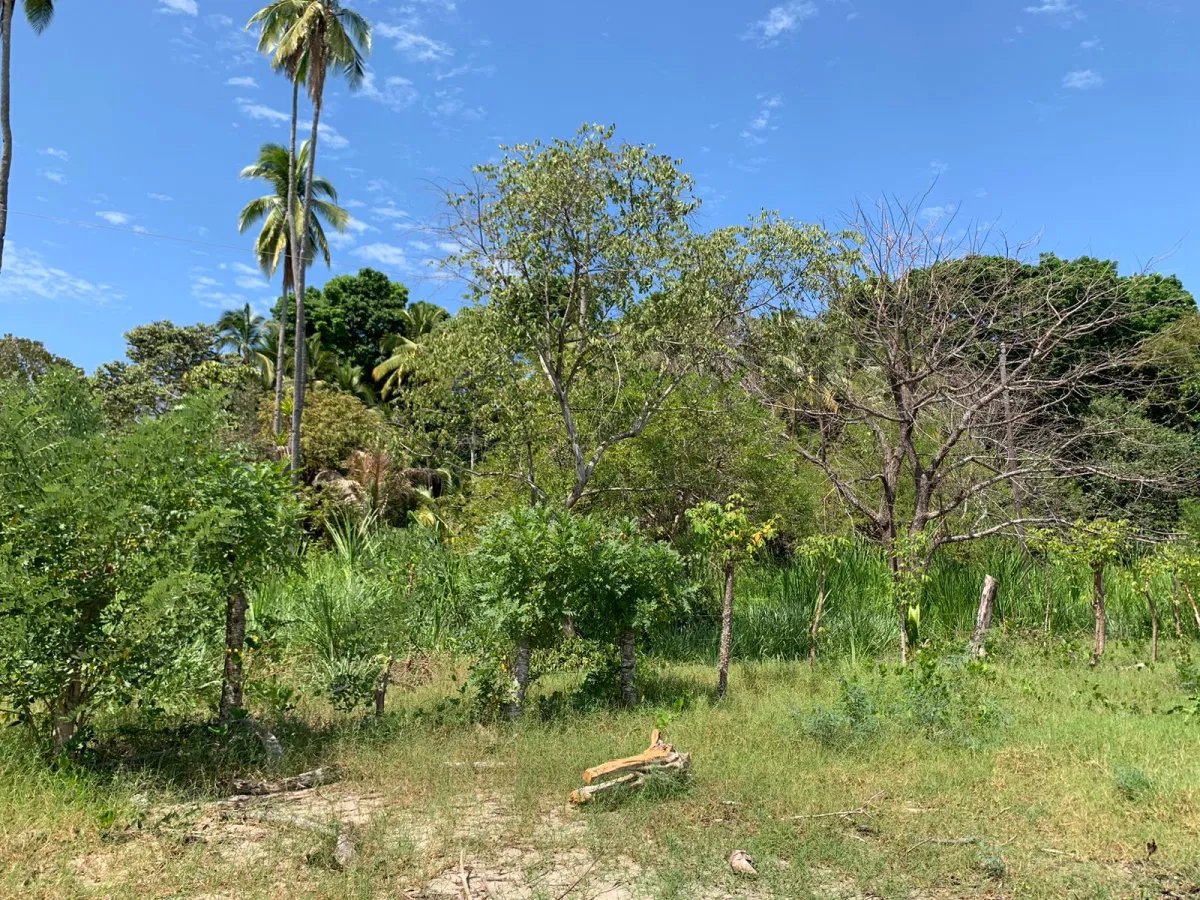 For Sale: Property at Hicaco Beach Right on the Beach.