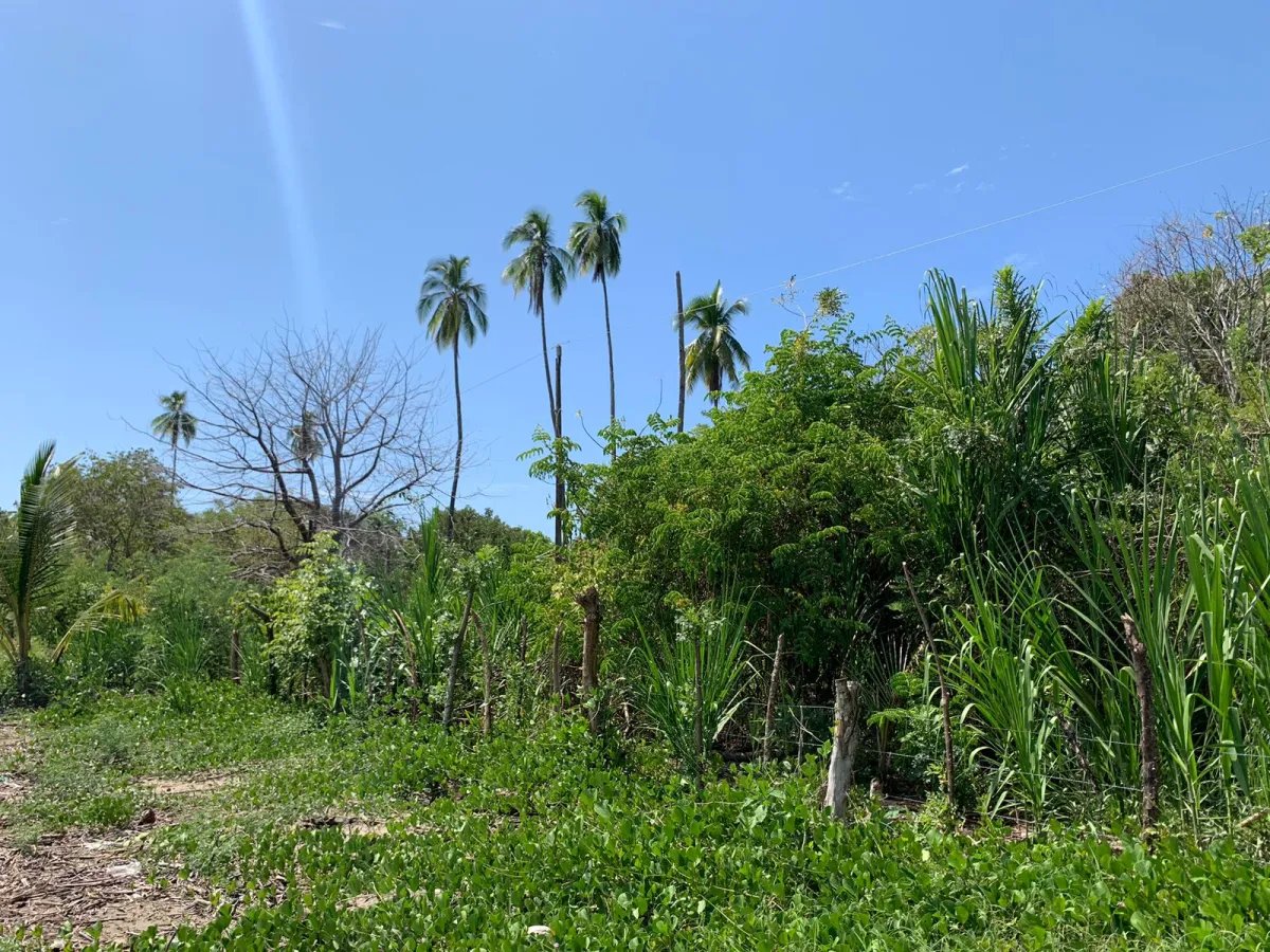 For Sale: Property at Hicaco Beach Right on the Beach.