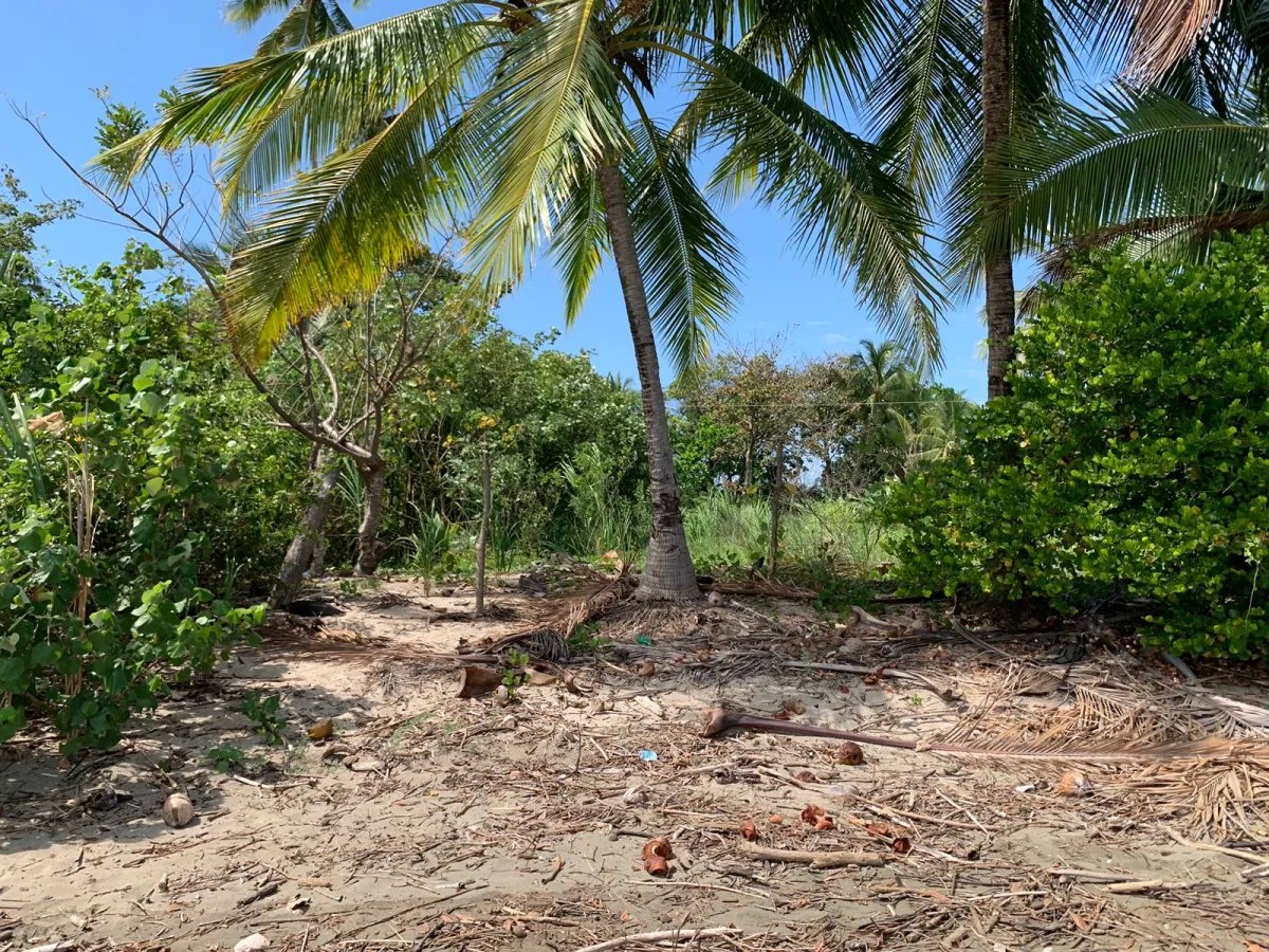 For Sale: Property at Hicaco Beach Right on the Beach.