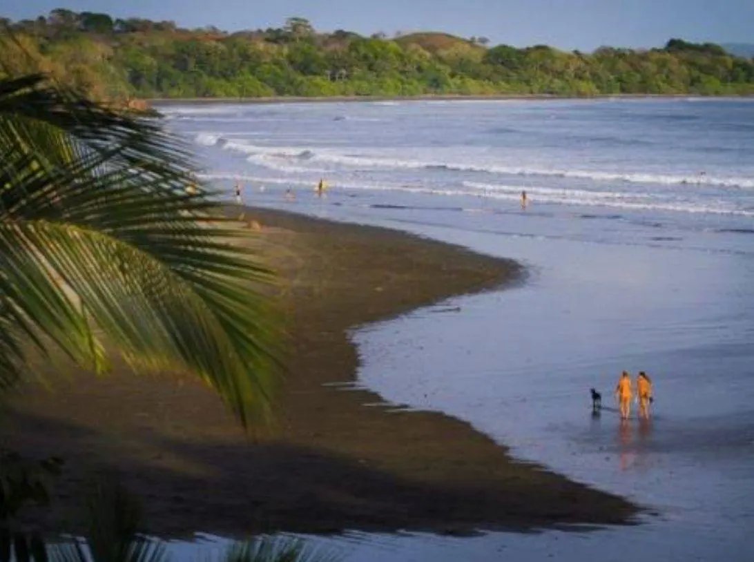 For Sale: 7,000 m² Property with Sea View and Private Access at Estero Beach.