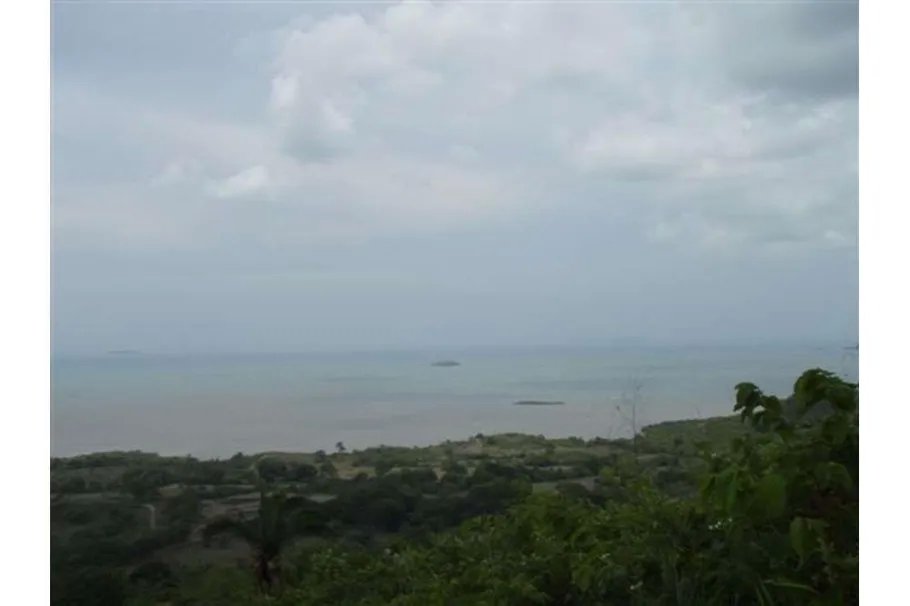 Se Vende Lote de 48 Hectáreas en Playa Leona Chorrera