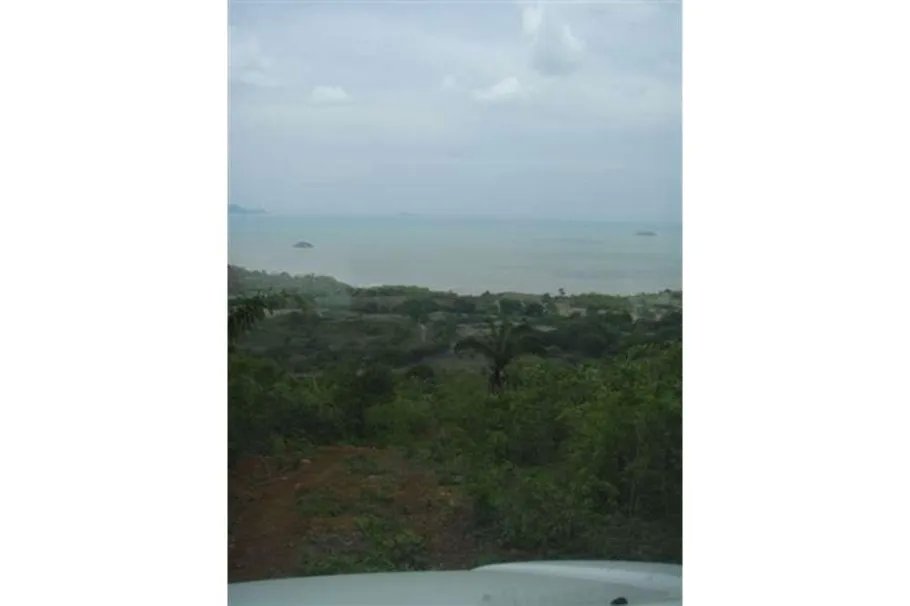 Se Vende Lote de 48 Hectáreas en Playa Leona Chorrera