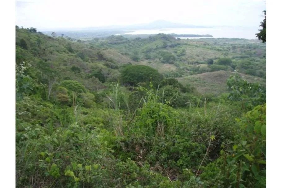 Se Vende Lote de 48 Hectáreas en Playa Leona Chorrera