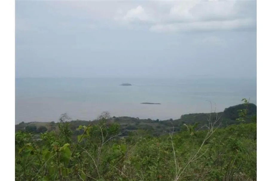 Se Vende Lote de 48 Hectáreas en Playa Leona Chorrera