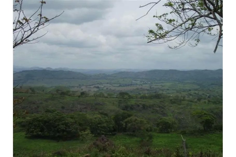 Se Vende Lote de 48 Hectáreas en Playa Leona Chorrera