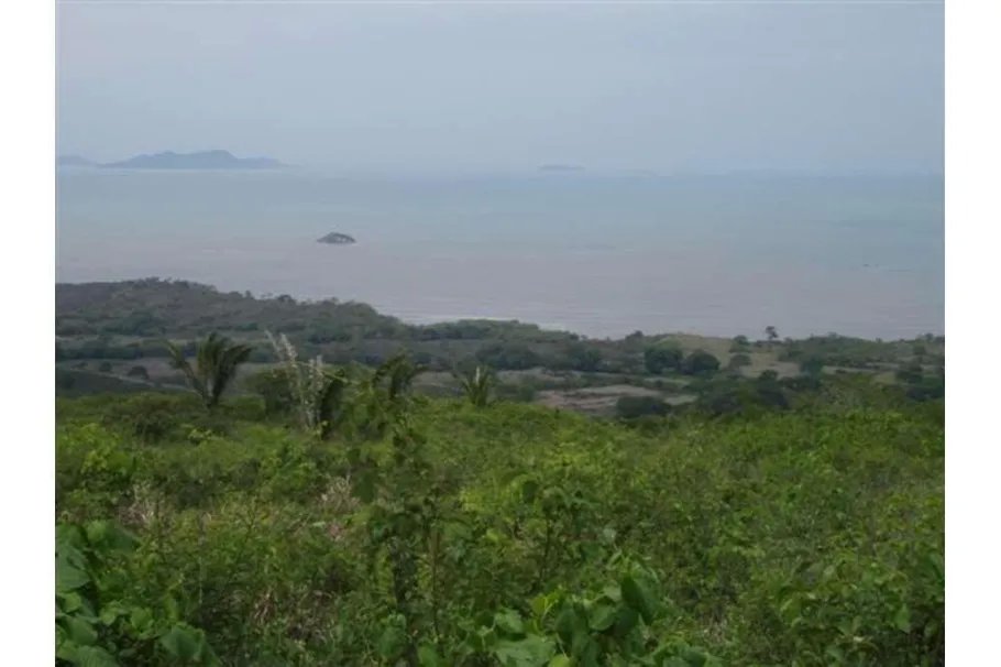Se Vende Lote de 48 Hectáreas en Playa Leona Chorrera