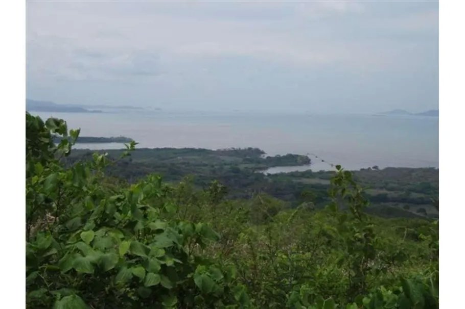 Se Vende Lote de 48 Hectáreas en Playa Leona Chorrera