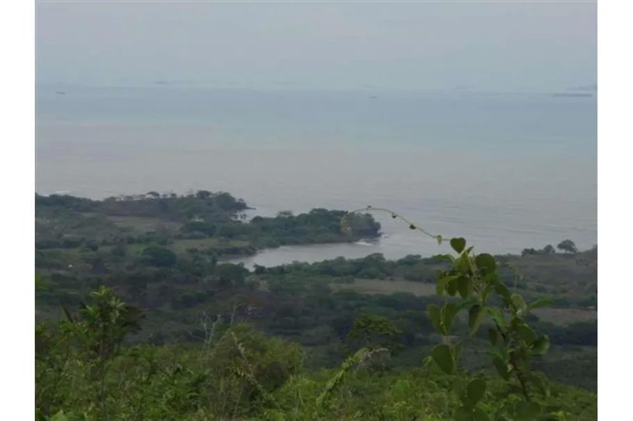 Se Vende Lote de 48 Hectáreas en Playa Leona Chorrera