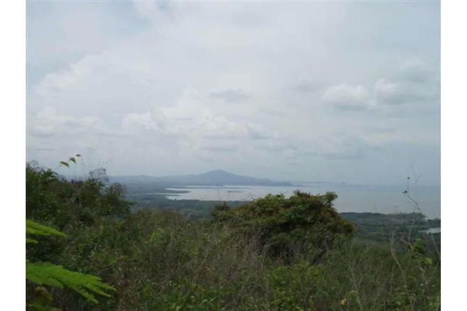 Se Vende Lote de 48 Hectáreas en Playa Leona Chorrera