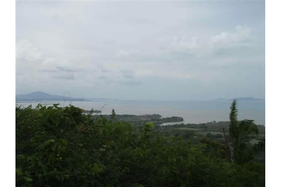 Se Vende Lote de 48 Hectáreas en Playa Leona Chorrera