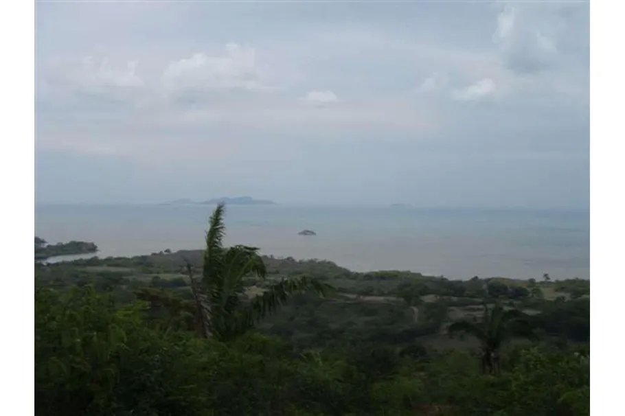 Se Vende Lote de 48 Hectáreas en Playa Leona Chorrera