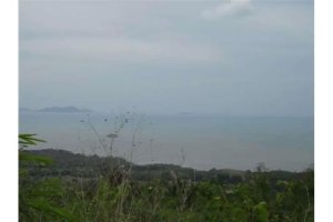 48-Hectare Lot for Sale at Playa Leona C...