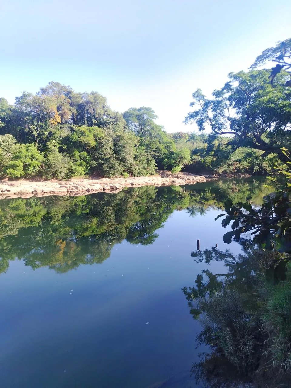 En venta: 48 hectáreas con título en San Francisco, Veraguas.