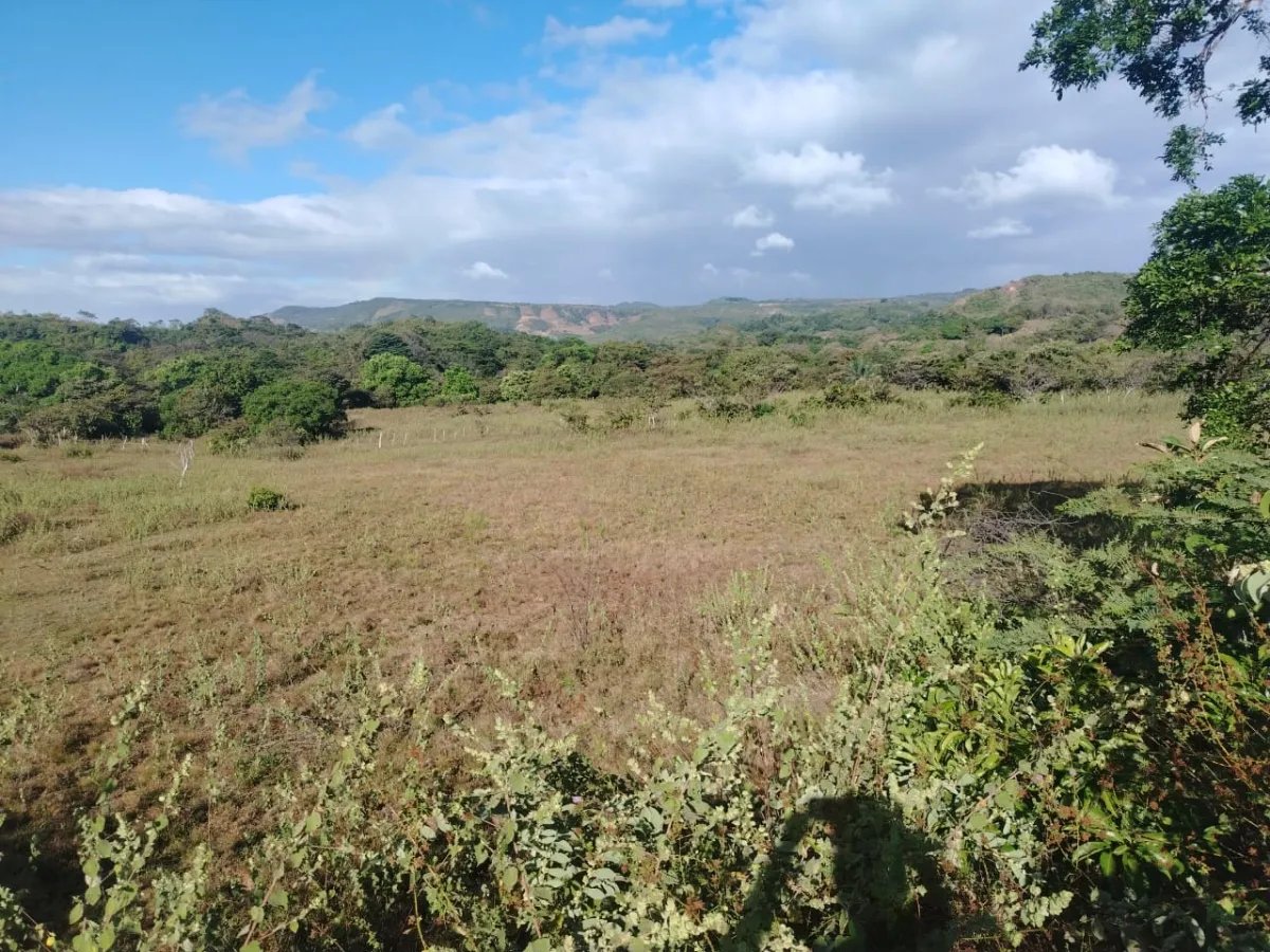 En venta: 48 hectáreas con título en San Francisco, Veraguas.