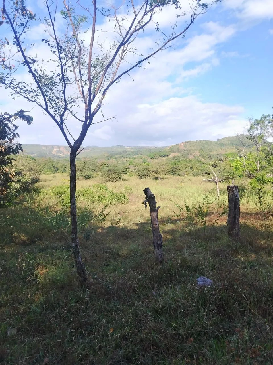 En venta: 48 hectáreas con título en San Francisco, Veraguas.