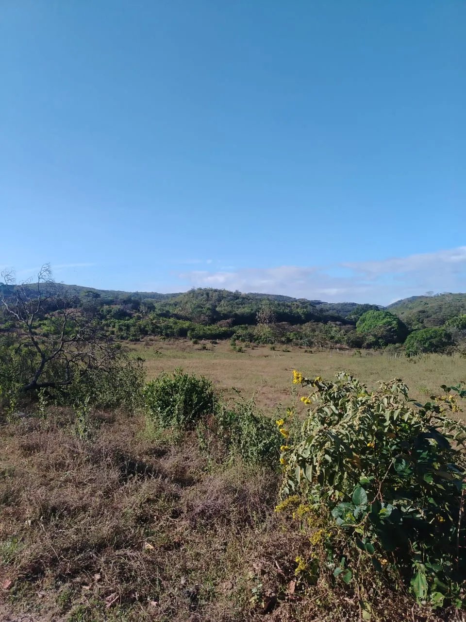 En venta: 48 hectáreas con título en San Francisco, Veraguas.
