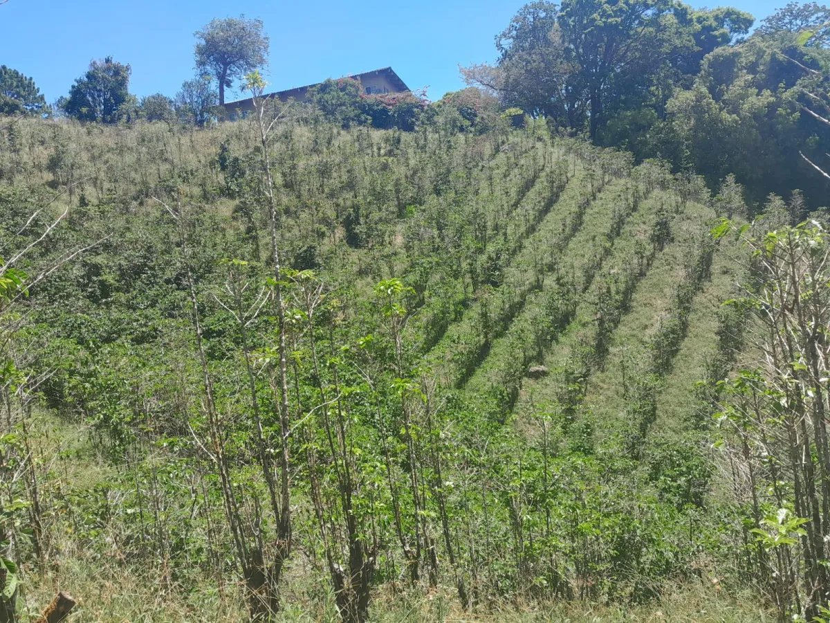 Mixed Use For Sale in Palmira
