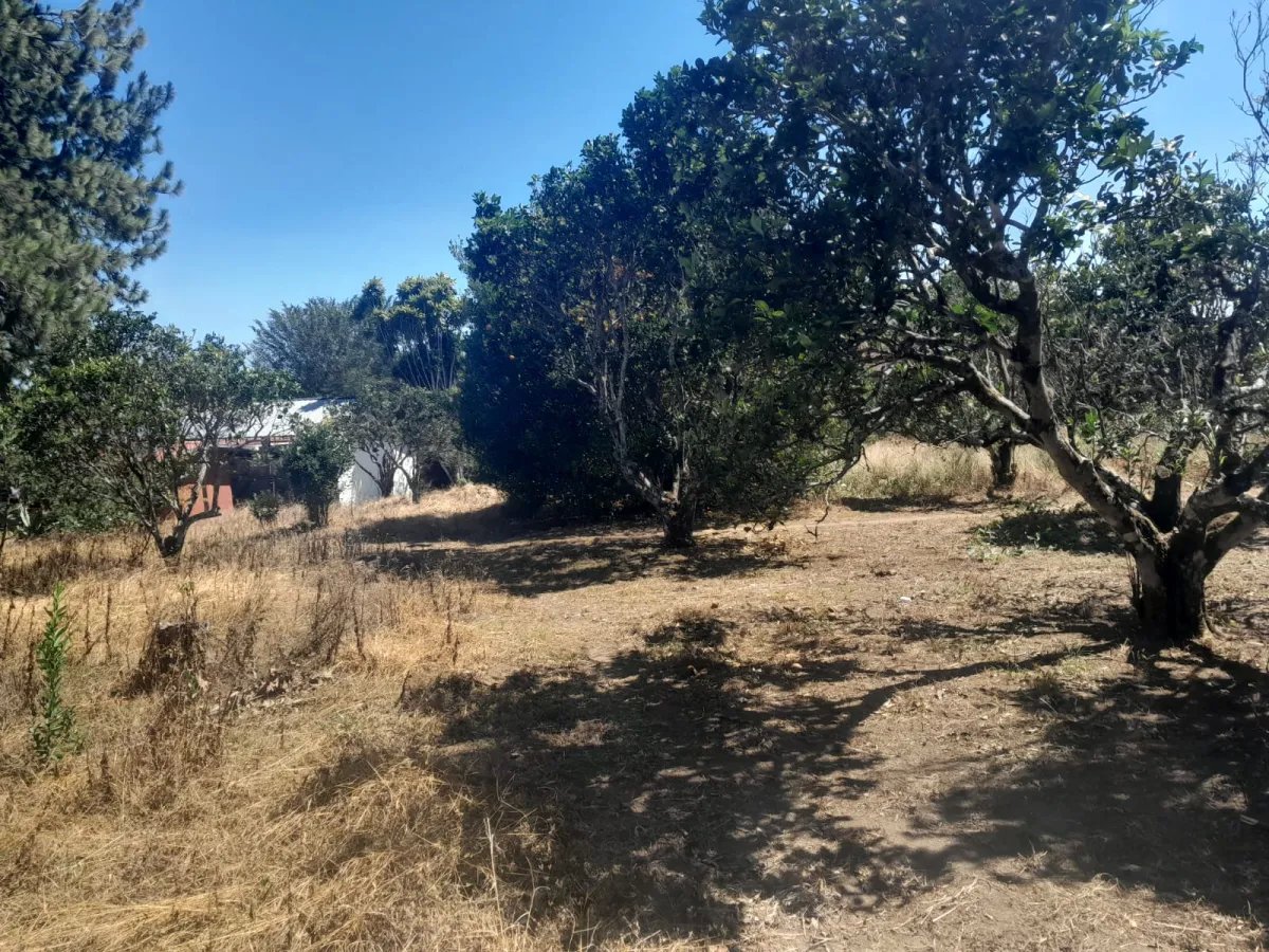 Mixed Use For Sale in Palmira