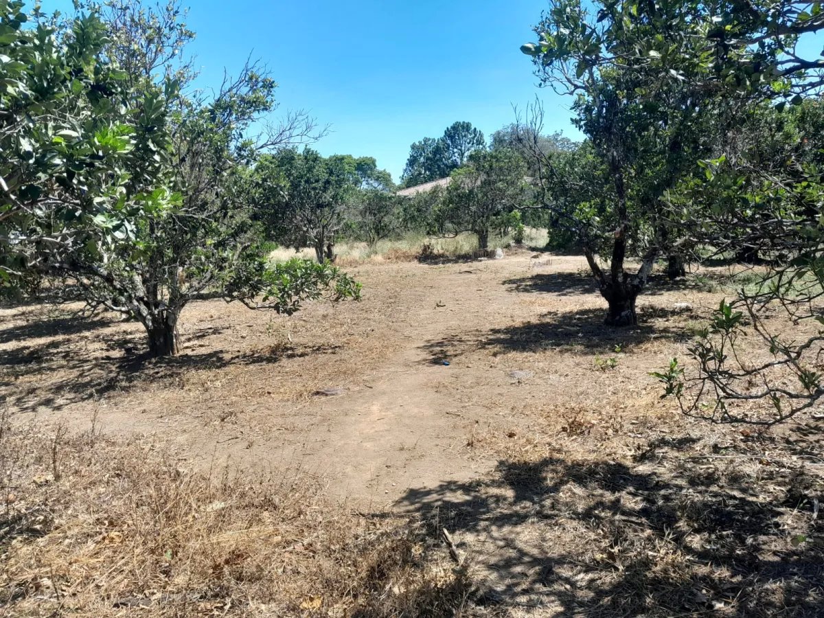 Mixed Use For Sale in Palmira
