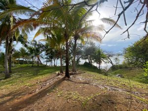 Ocean Front Lot on Playa Estero, Playa S...
