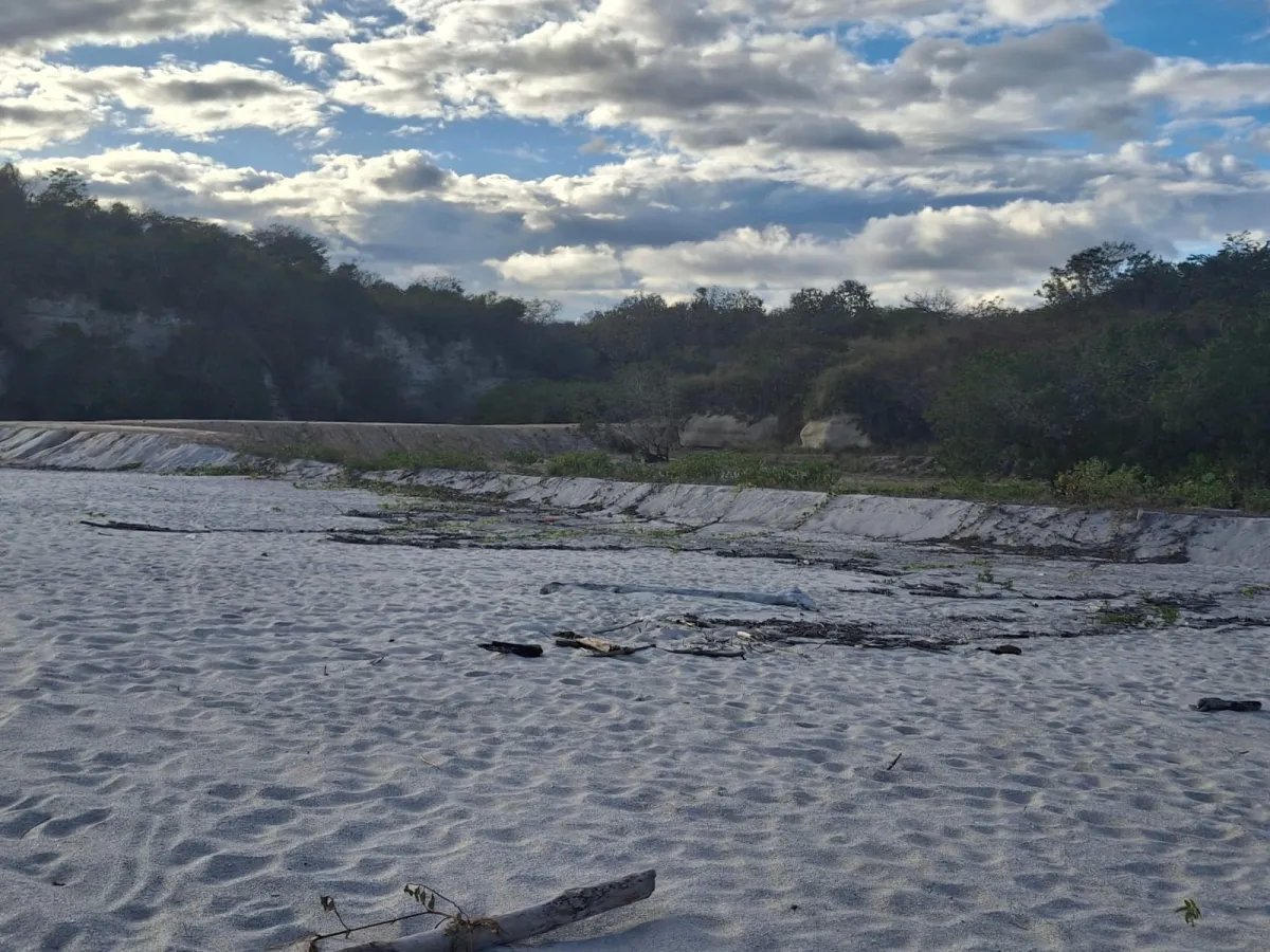 Unimproved Land For Sale in El Higo