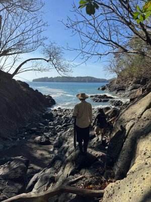 13 Hectares Ocean Front Land For Sale in...