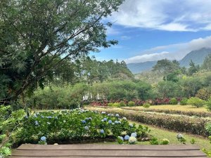 Mountain Estate Home With 6 Bedrooms in ...