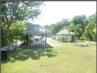 Apartment For Sale in PH Coronado Golf