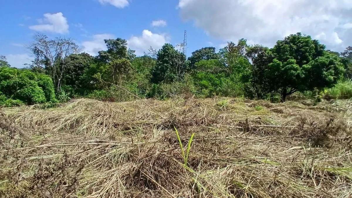 Venta de lote de terreno en Chilibre.