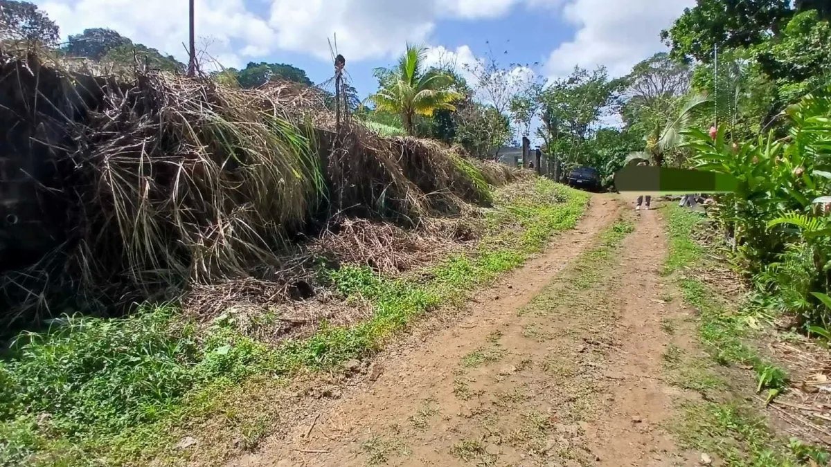 Venta de lote de terreno en Chilibre.