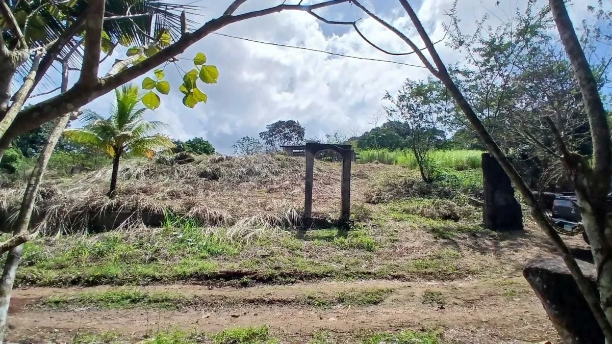 Venta de lote de terreno en Chilibre.
