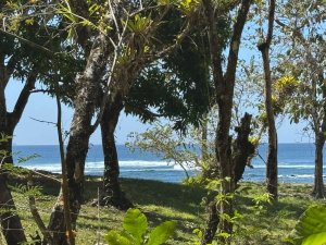 Ocean View Lot For Sale Steps from Beach...