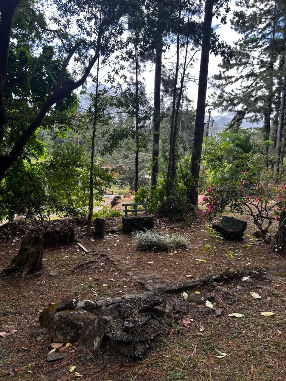 Mobile Home For Sale in ALTOS DE MARIA