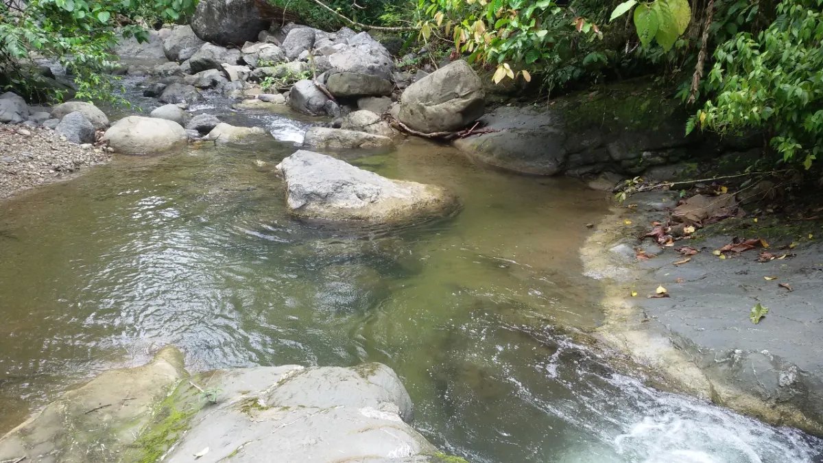 Se vende finca en el sector de las Delicias Arriba, Changuinola