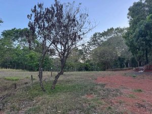 Commercial Lot For Sale in Playa Santa C...