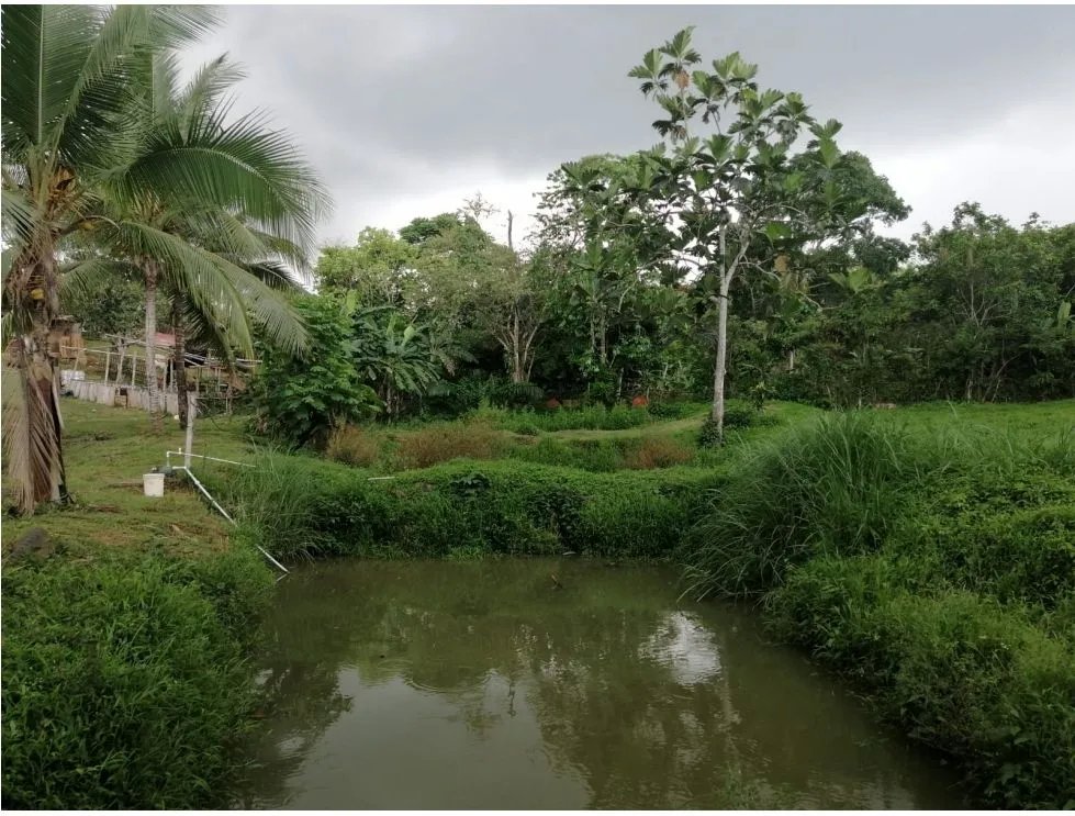 Mobile Home For Sale in Chilibre