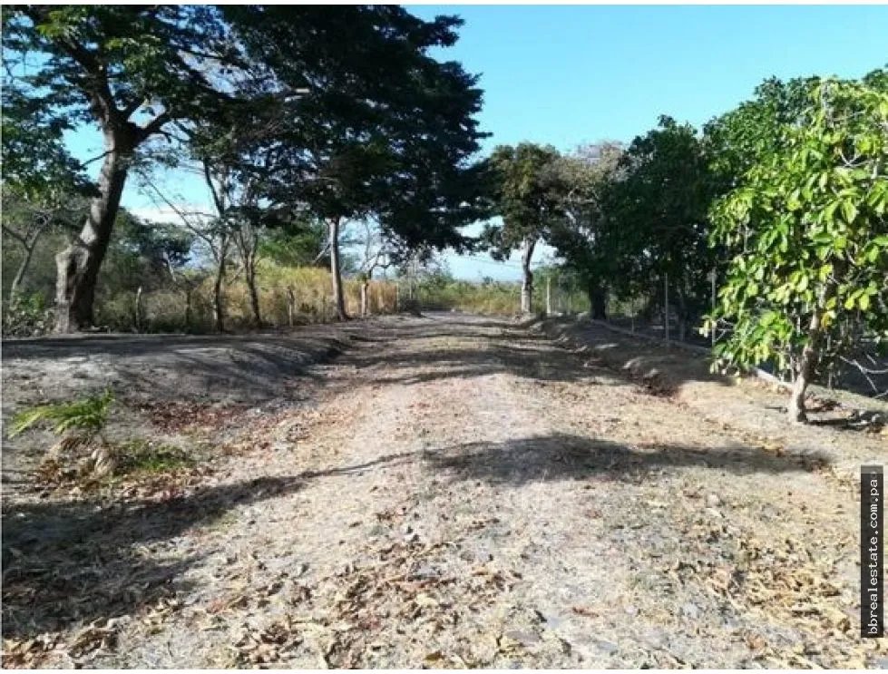 Venta de Finca en Playa Corona, San Carlos