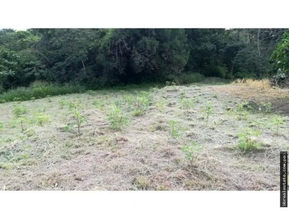Venta de Finca en Playa Corona, San Carlos