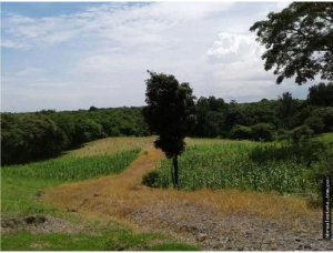 Land/Farm for sale in San Carlos