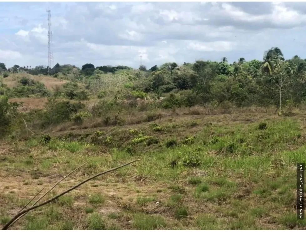 Venta de Terreno en Rio Hato