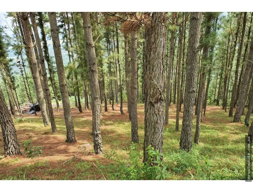 Venta de Terreno en Sora, Chame