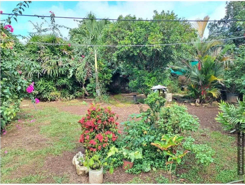 Single Family House for sale in David