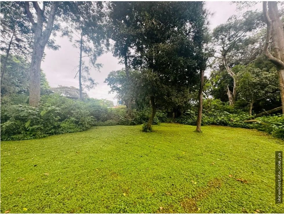 Venta de terreno en Av. Belisario Porras, David, Chiriquí.