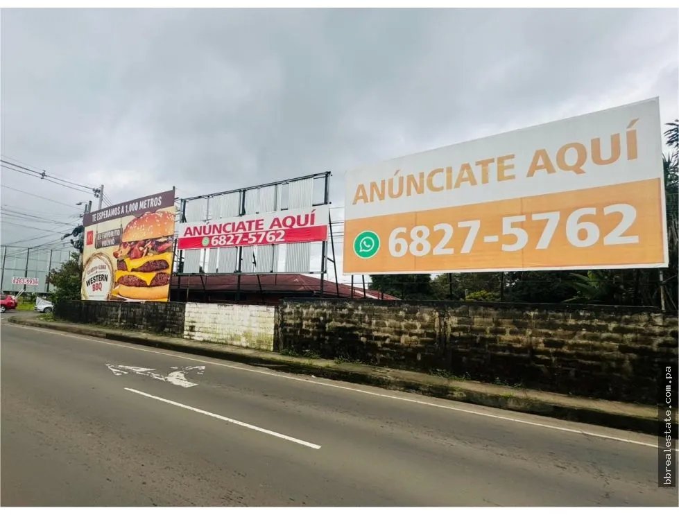 Building Lot for sale in David