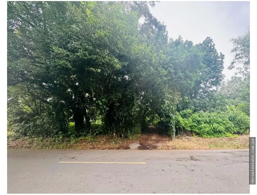 Building Lot for sale in David