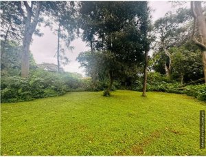 Building Lot for sale in David