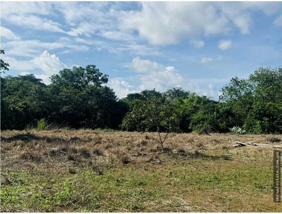 Building Lot for sale in David