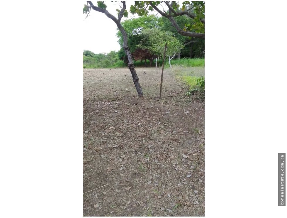 Building Lot for sale in San Carlos